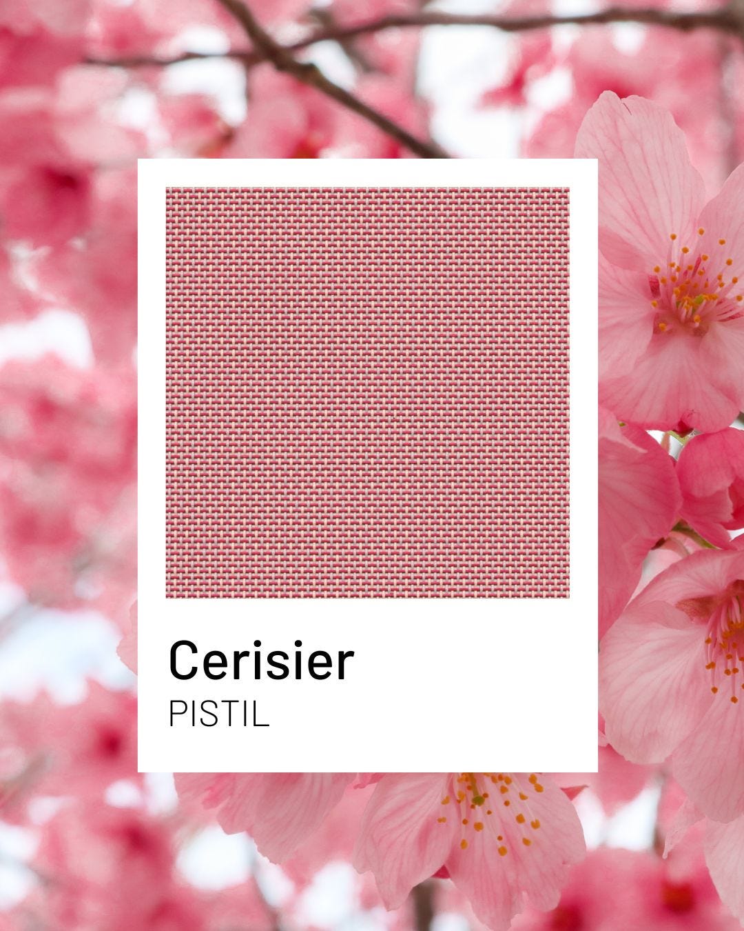 Cerisier – ein sanfter und warmer Ton aus der Pistil-Kollektion von Lafuma Mobilier