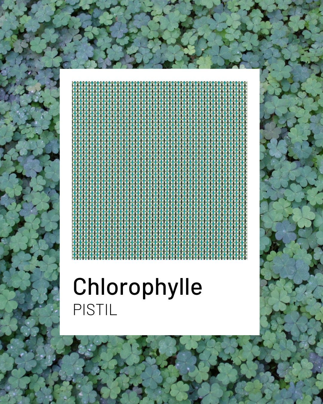 Chlorophylle – eine natürliche und intensive Farbe für Ihre Terrassen | Lafuma Mobilier