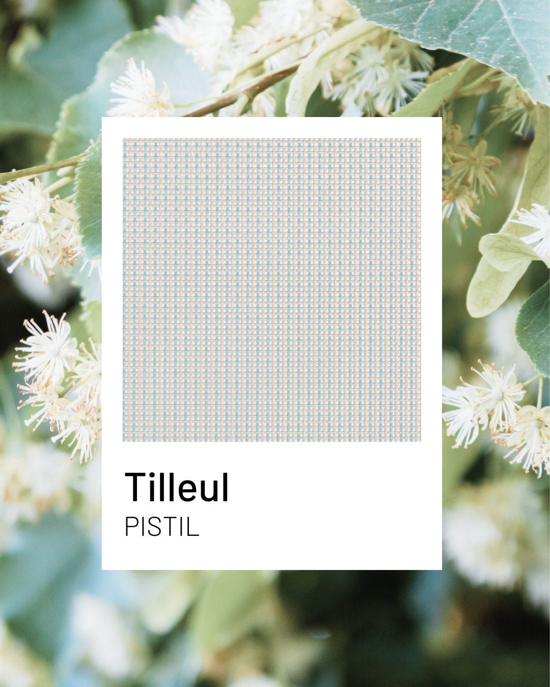 Tilleul – ein frischer und beruhigender Farbton für langlebige Gartenmöbel | Lafuma Mobilier